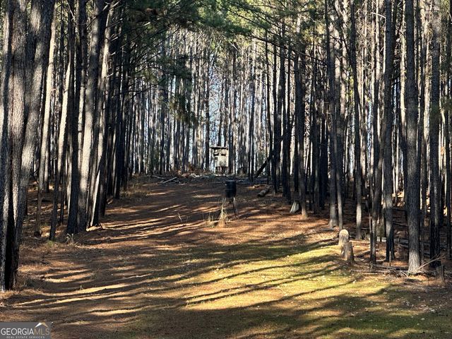 202 S Taylor Road, Talbotton, GA 31827