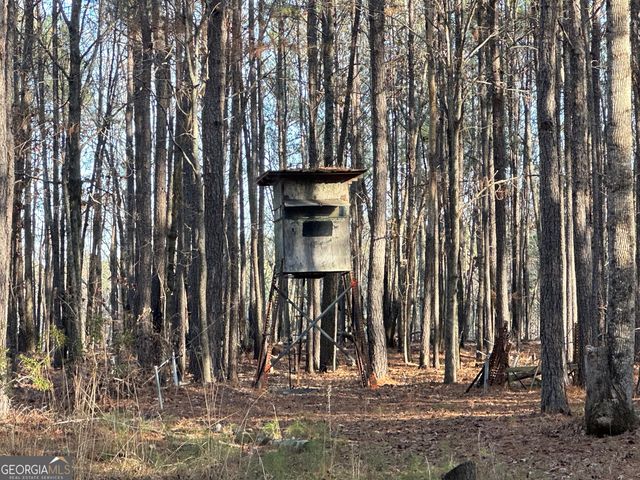 202 S Taylor Road, Talbotton, GA 31827