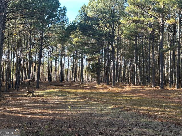 202 S Taylor Road, Talbotton, GA 31827