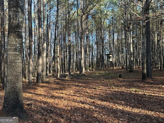 202 S Taylor Road, Talbotton, GA 31827