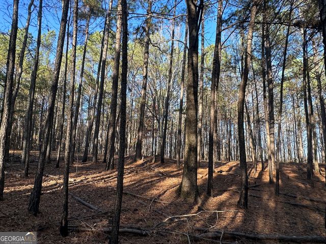 202 S Taylor Road, Talbotton, GA 31827