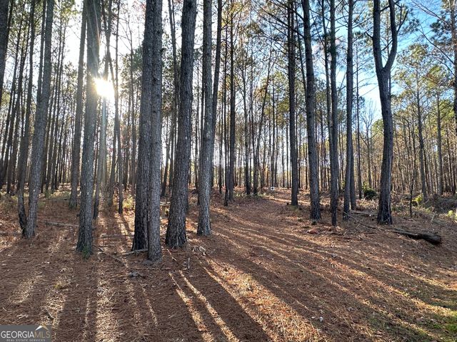 202 S Taylor Road, Talbotton, GA 31827