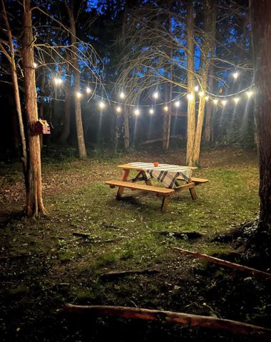 1345 E 310th Street, Flemington, MO 65650