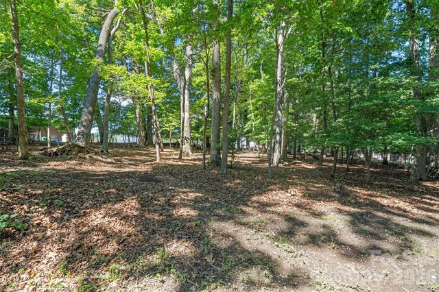 55 Overlook Drive, Candler, NC 28715