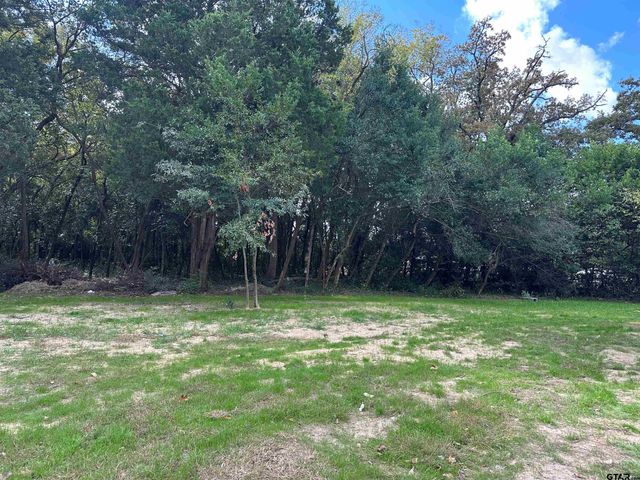 5144 E US Hwy 175, Athens, TX 75751