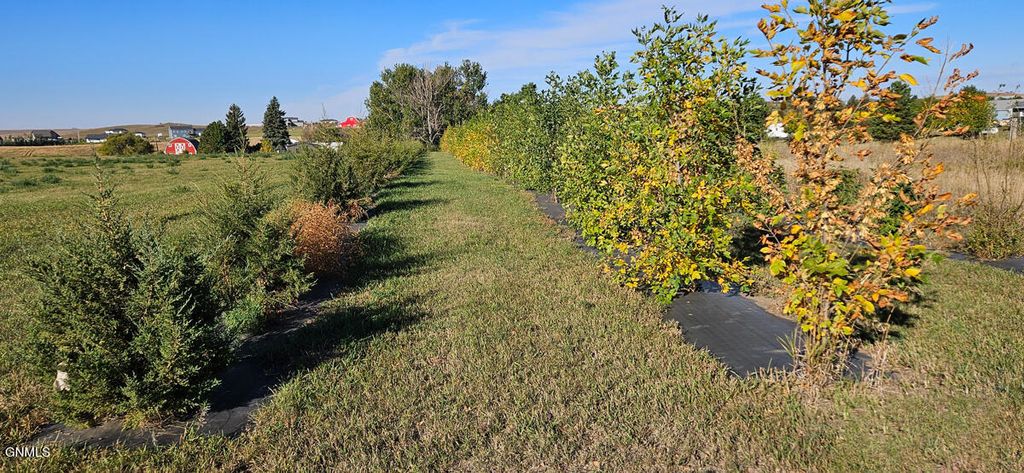 On Country Lane, Mandan, ND 58554 photo 7