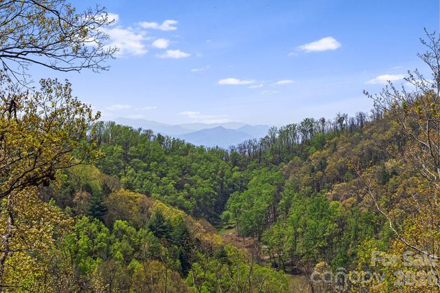 120 Wilderness Drive, Weaverville, NC 28787