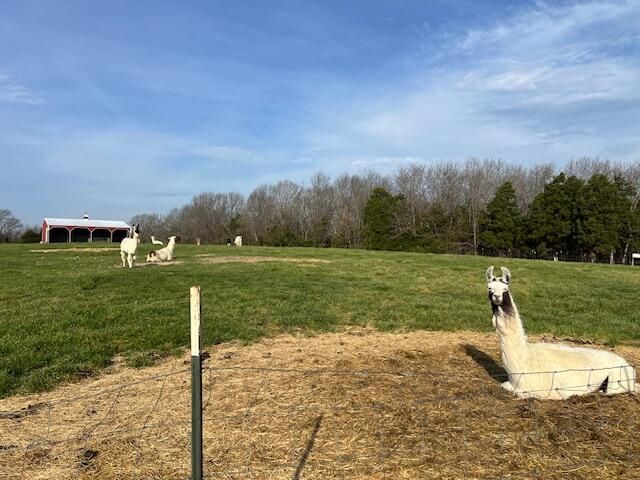 3735 Meyers Hollow Road, Marshfield, MO 65706