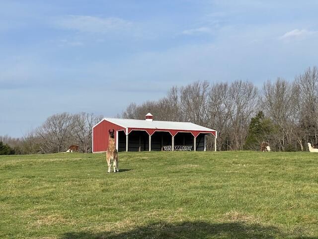 3735 Meyers Hollow Road, Marshfield, MO 65706