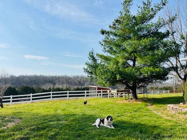 3735 Meyers Hollow Road, Marshfield, MO 65706