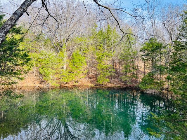 3735 Meyers Hollow Road, Marshfield, MO 65706