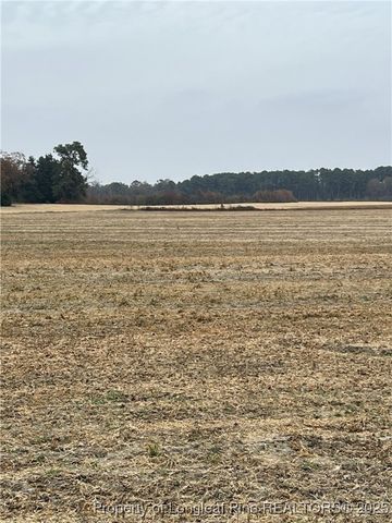 9.02 acres Buie Philadelphus Road, Red Springs, NC 28377