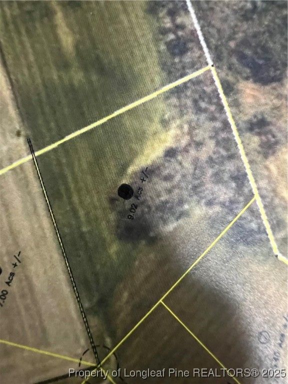 9.02 acres Buie Philadelphus Road, Red Springs, NC 28377