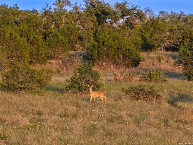 TBD FM 32, Blanco, TX 78606