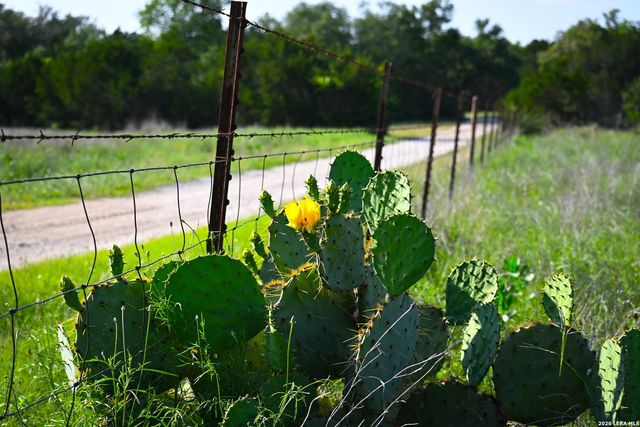 TBD FM 32, Blanco, TX 78606