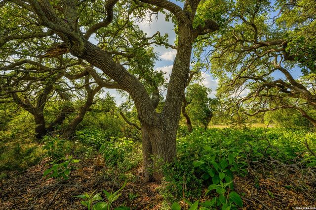 TBD FM 32, Blanco, TX 78606