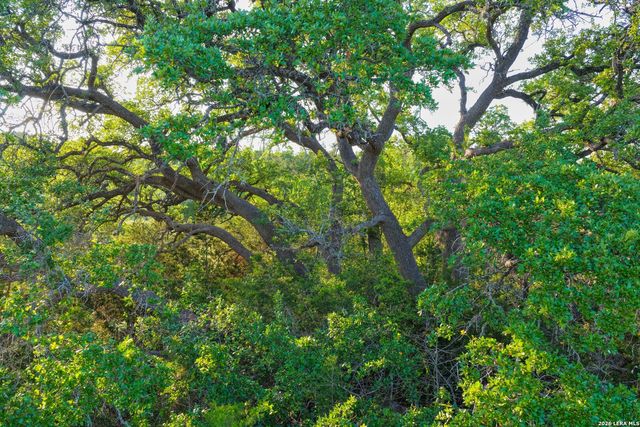 TBD FM 32, Blanco, TX 78606