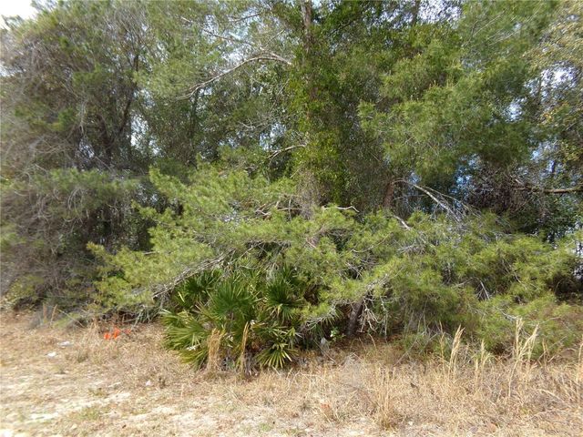 1680 CATALINA BLVD, Deltona, FL 32738