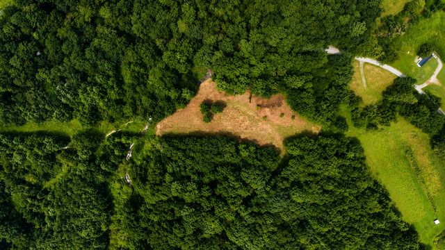4.06 AC Licklog Trail, Ellijay, GA 30536