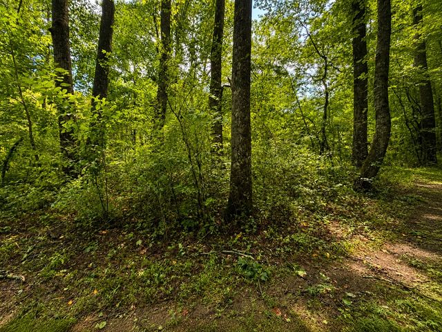 4.06 AC Licklog Trail, Ellijay, GA 30536