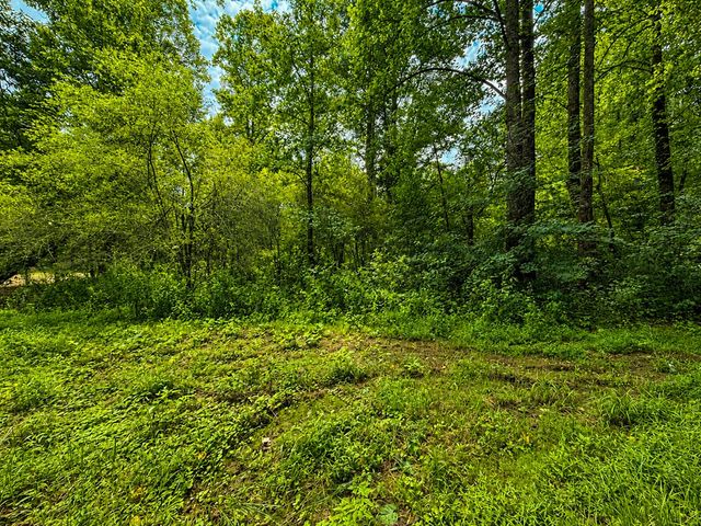 4.06 AC Licklog Trail, Ellijay, GA 30536