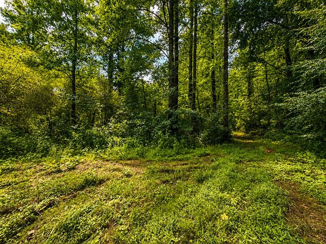 4.06 AC Licklog Trail, Ellijay, GA 30536