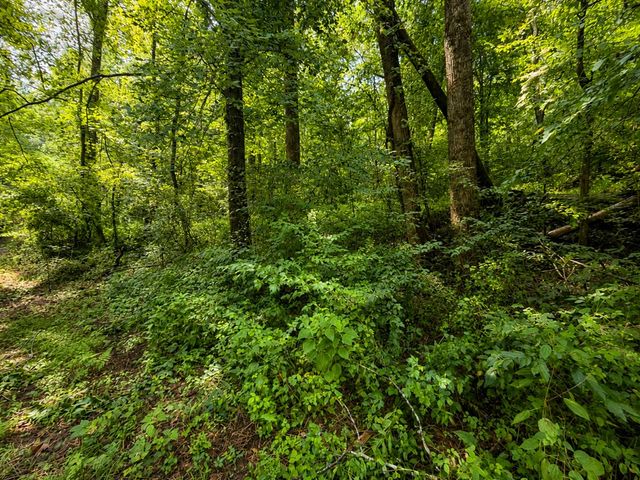 4.06 AC Licklog Trail, Ellijay, GA 30536