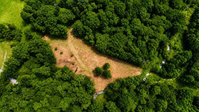4.06 AC Licklog Trail, Ellijay, GA 30536