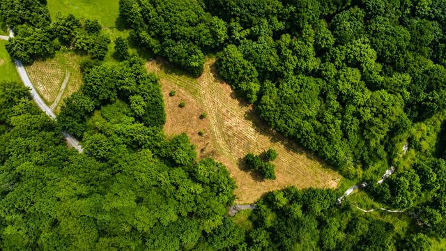4.06 AC Licklog Trail, Ellijay, GA 30536