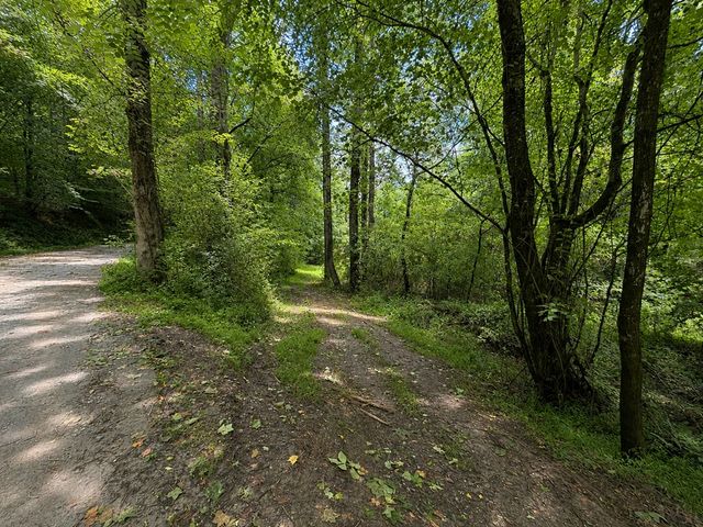 4.06 AC Licklog Trail, Ellijay, GA 30536