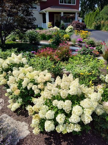 321 Vine Street, Wilmette, IL 60091