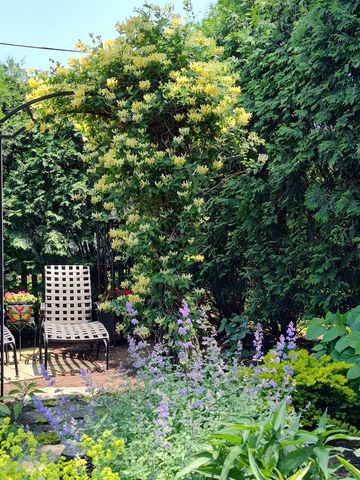 321 Vine Street, Wilmette, IL 60091