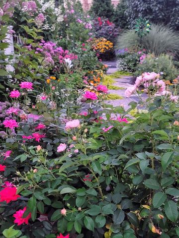 321 Vine Street, Wilmette, IL 60091