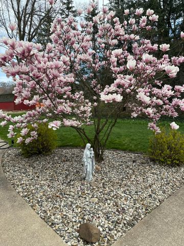 2972 W Fruitport Road, Fruitport Twp, MI 49415