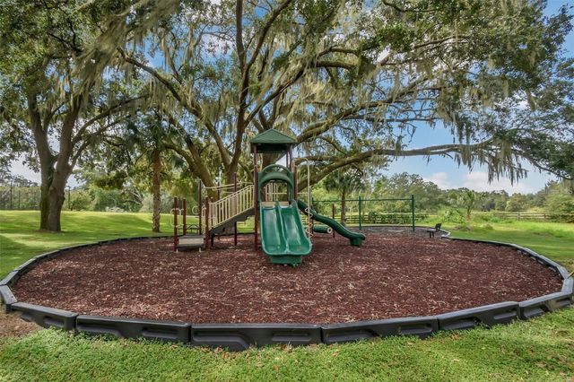 24215 WELDON DRIVE, Eustis, FL 32736