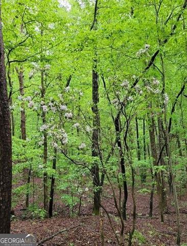 2 Brushy Mountain Road, Rockmart, GA 30153