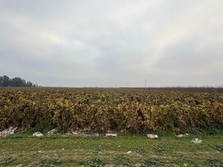 0 W Klepper Ave Avenue W, Caruthers, CA 93609