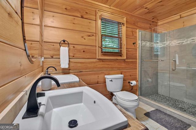 316 Pigeon Creek Road, Blue Ridge, GA 30513