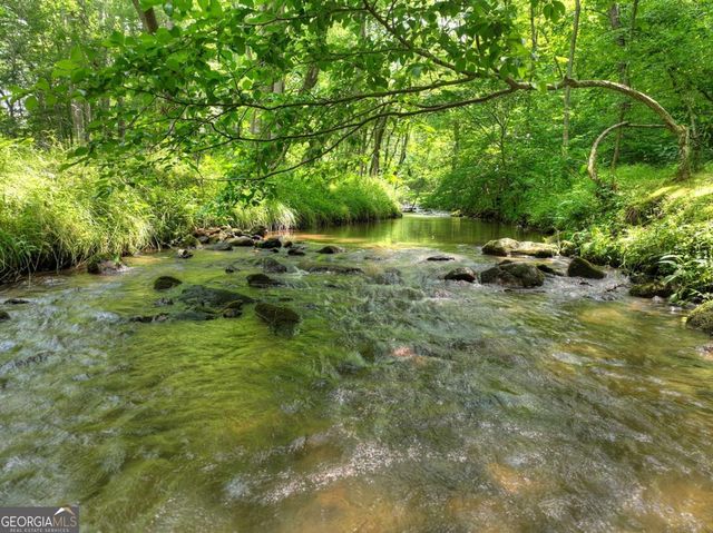 316 Pigeon Creek Road, Blue Ridge, GA 30513