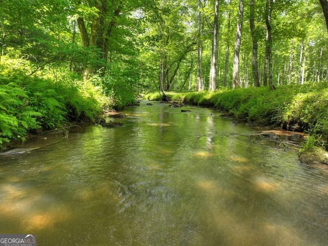 316 Pigeon Creek Road, Blue Ridge, GA 30513