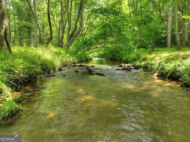 316 Pigeon Creek Road, Blue Ridge, GA 30513