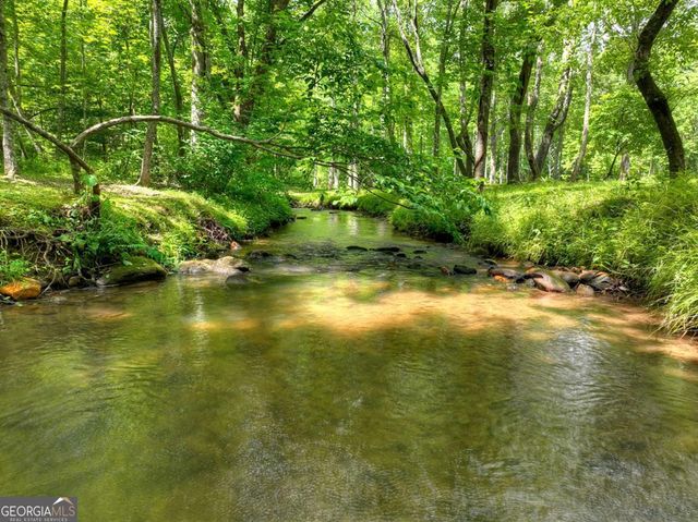 316 Pigeon Creek Road, Blue Ridge, GA 30513