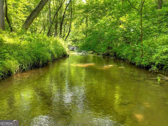 316 Pigeon Creek Road, Blue Ridge, GA 30513