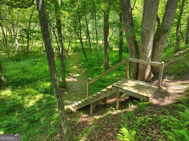 316 Pigeon Creek Road, Blue Ridge, GA 30513
