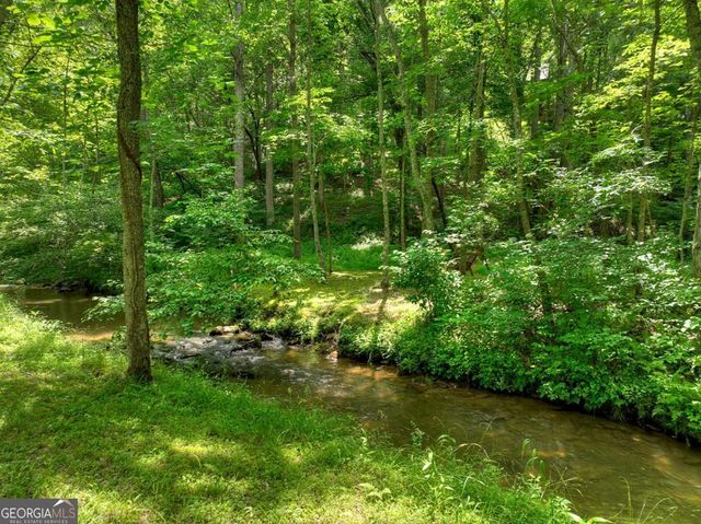 316 Pigeon Creek Road, Blue Ridge, GA 30513