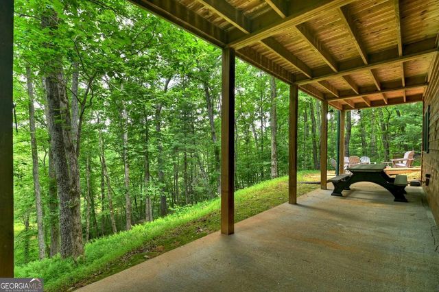 316 Pigeon Creek Road, Blue Ridge, GA 30513