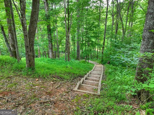 316 Pigeon Creek Road, Blue Ridge, GA 30513