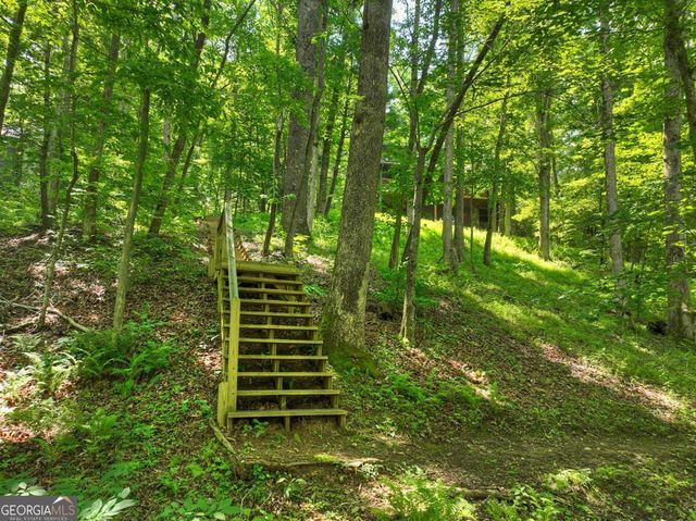 316 Pigeon Creek Road, Blue Ridge, GA 30513