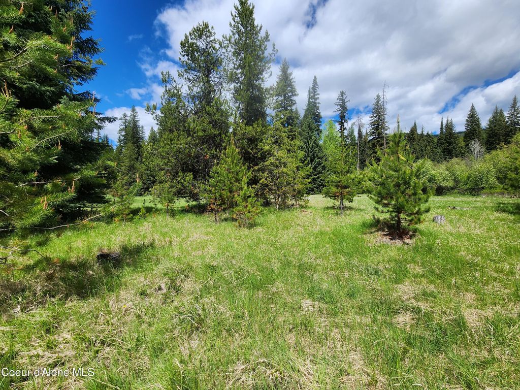 574 Poco Lobo Rd, Troy (MT), MT 59935 photo 10