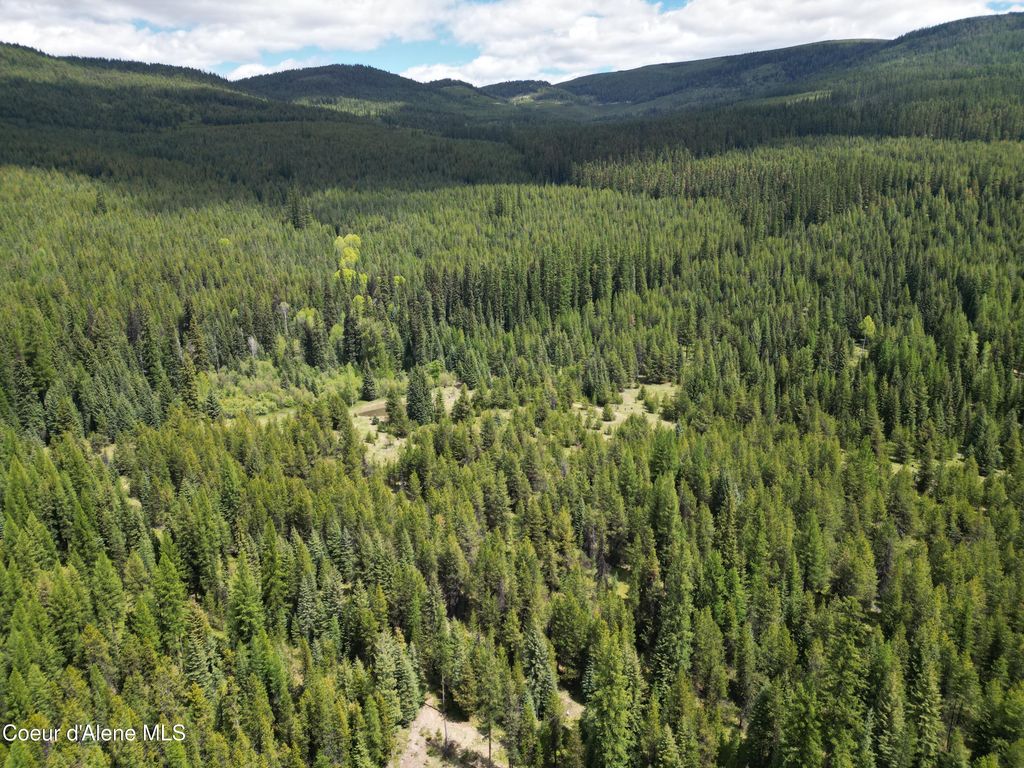 574 Poco Lobo Rd, Troy (MT), MT 59935 photo 13